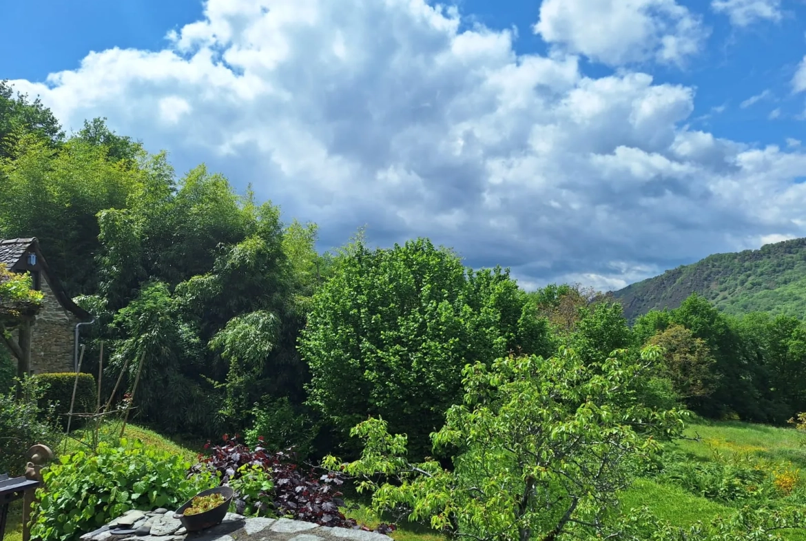 Maison d'été avec vue sur la vallée du Lot à Conques-en-Rouergue 
