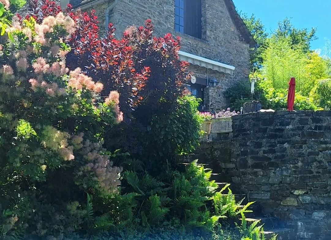 Maison d'été avec vue sur la vallée du Lot à Conques-en-Rouergue 