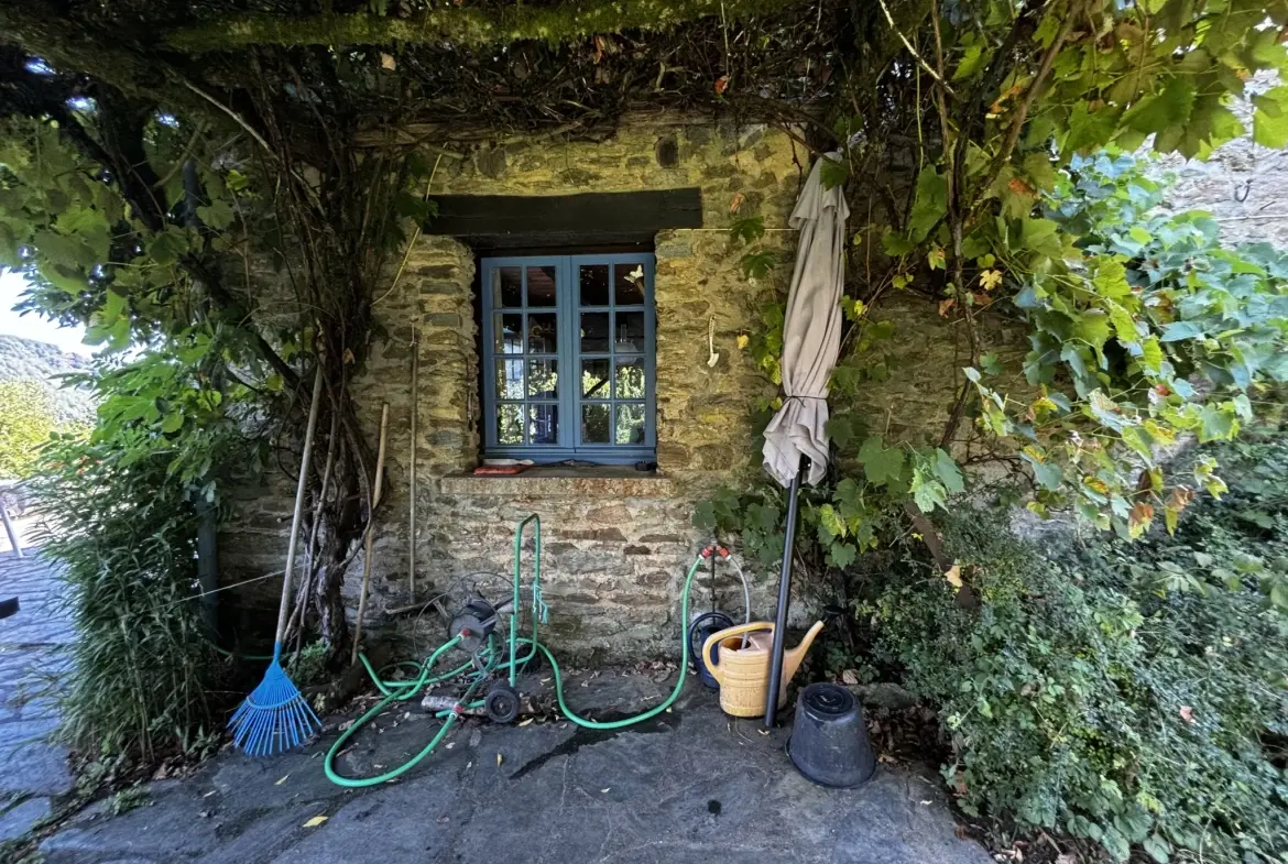 Maison d'été avec vue sur la vallée du Lot à Conques-en-Rouergue 