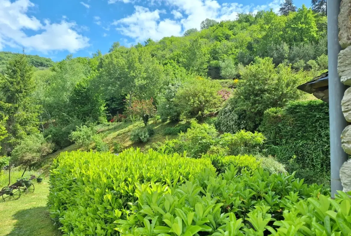 Maison d'été avec vue sur la vallée du Lot à Conques-en-Rouergue 