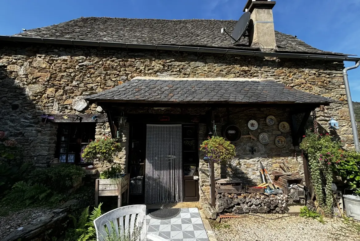 Maison d'été avec vue sur la vallée du Lot à Conques-en-Rouergue 