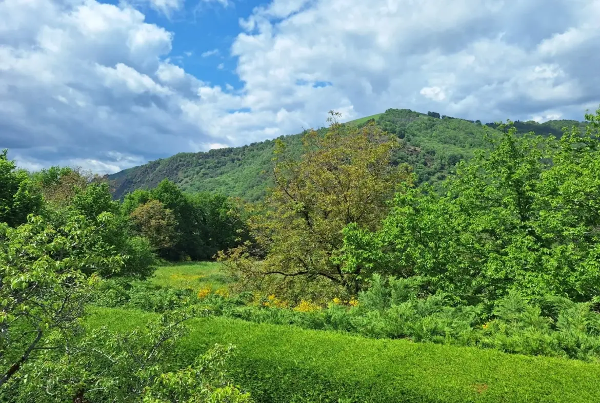Maison d'été avec vue sur la vallée du Lot à Conques-en-Rouergue 