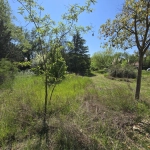 Terrain constructible de 717 m² à Prades le Léz - Opportunité à saisir