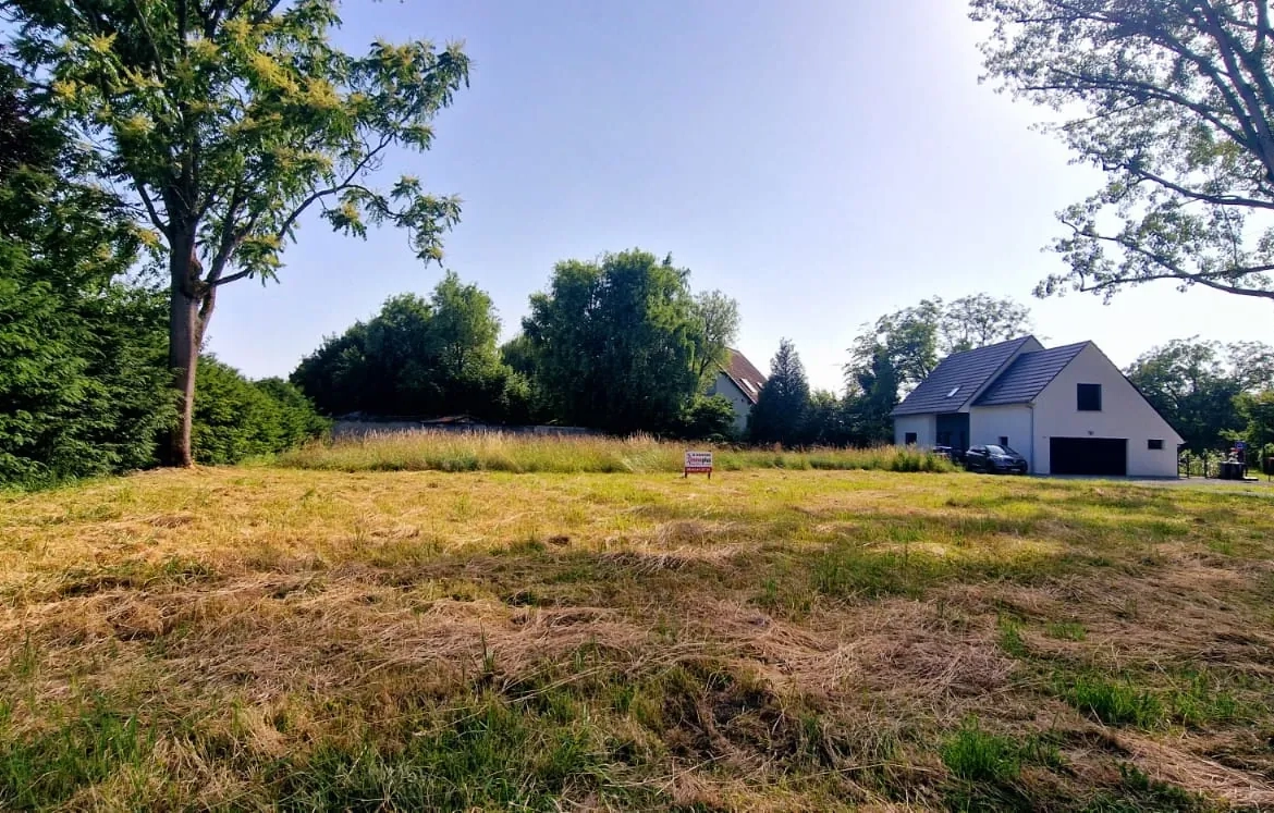 Terrain constructible à Rosenau de 5,54 ares en vente, environnement calme et idéal pour votre projet immobilier 