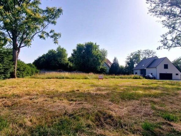 Terrain constructible à Rosenau de 5,54 ares en vente, environnement calme et idéal pour votre projet immobilier