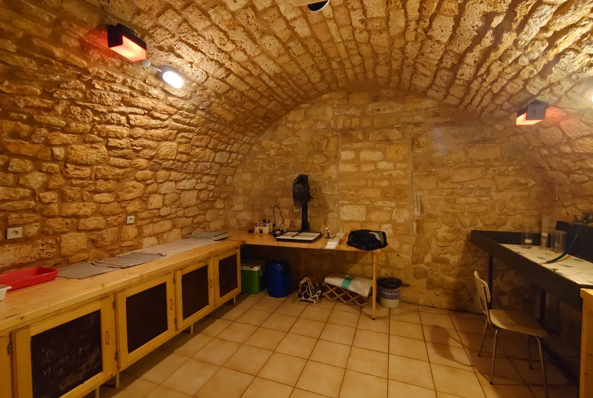 Maison de bastide avec gîte et jardin à Montcabrier (46700) 