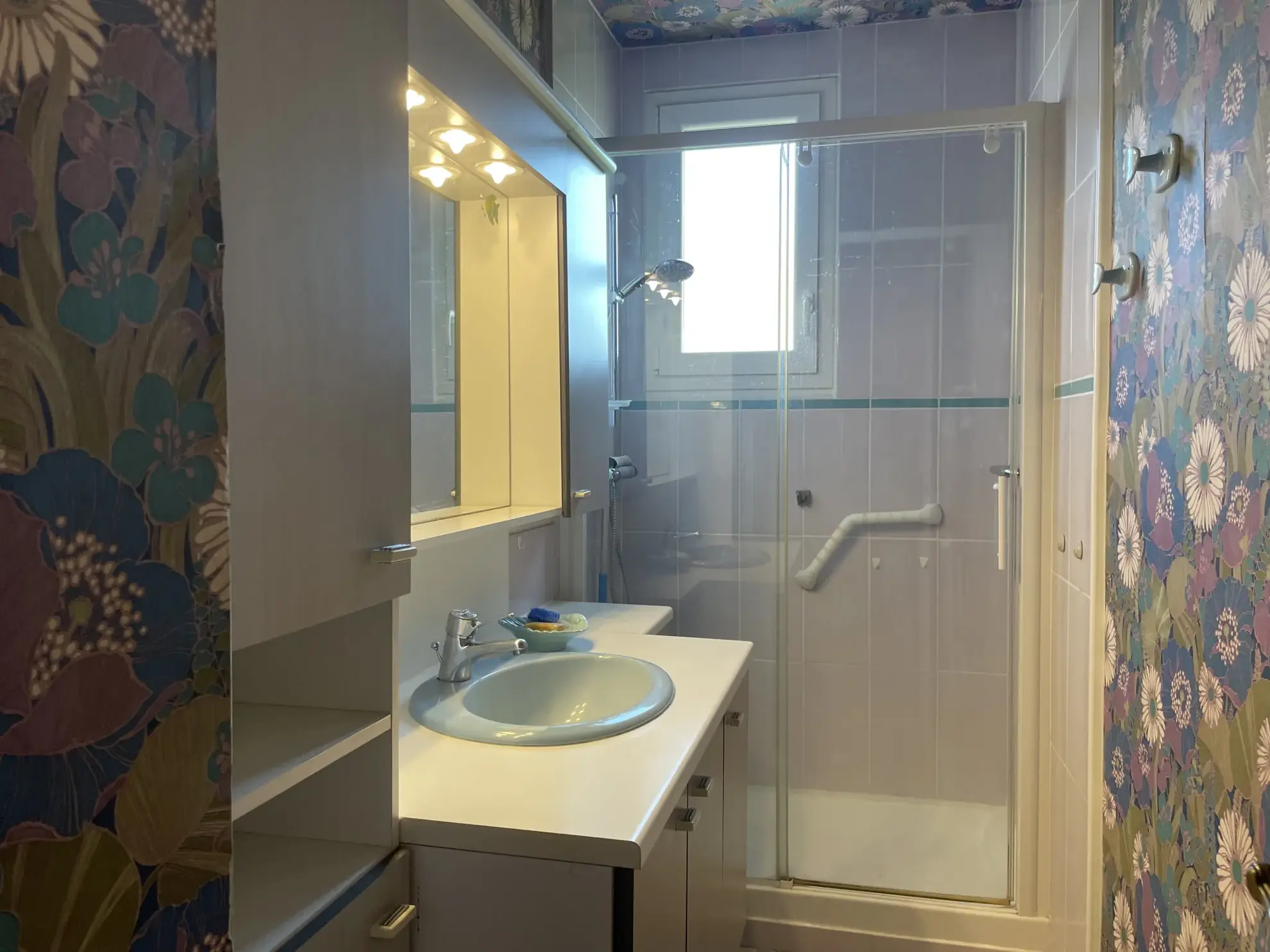 À vendre maison familiale à Romans-sur-Isère avec jardin de 934 m² et vue sur le Vercors 