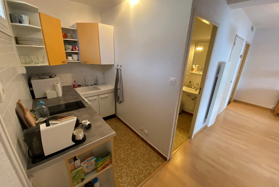 Appartement 1 pièce à Saint Sorlin d'Arves - Centre station, vue ouest 