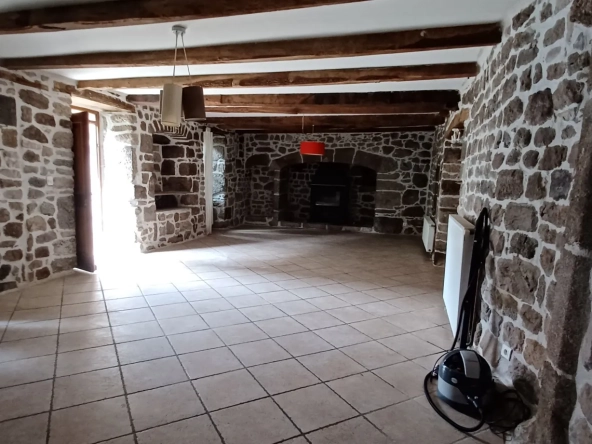 Charmante maison en pierre de 240 m² avec jardin à Entraygues-sur-Truyère