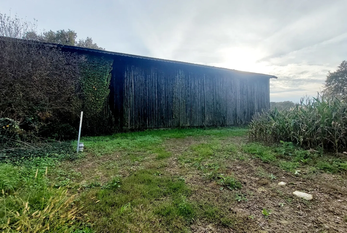 Séchoir de 120 m² avec grand terrain à vendre à La Réole - Opportunité rare 
