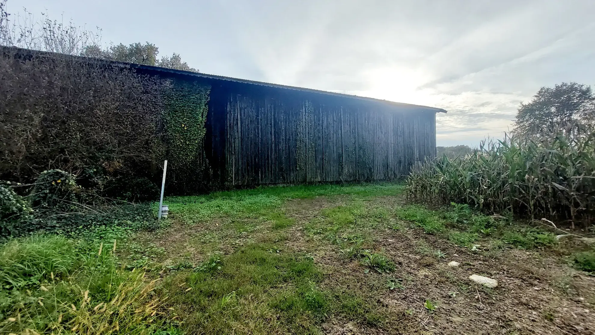 Séchoir de 120 m² avec grand terrain à vendre à La Réole - Opportunité rare 
