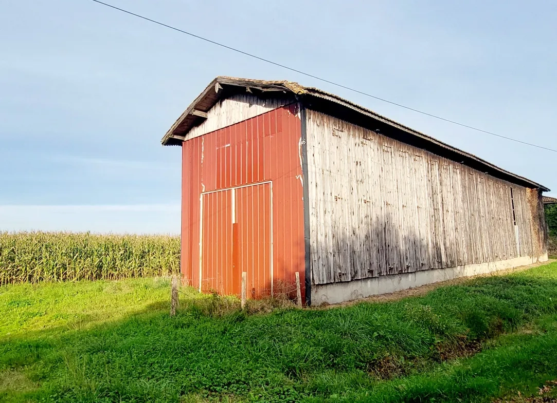 Séchoir de 120 m² avec grand terrain à vendre à La Réole - Opportunité rare 
