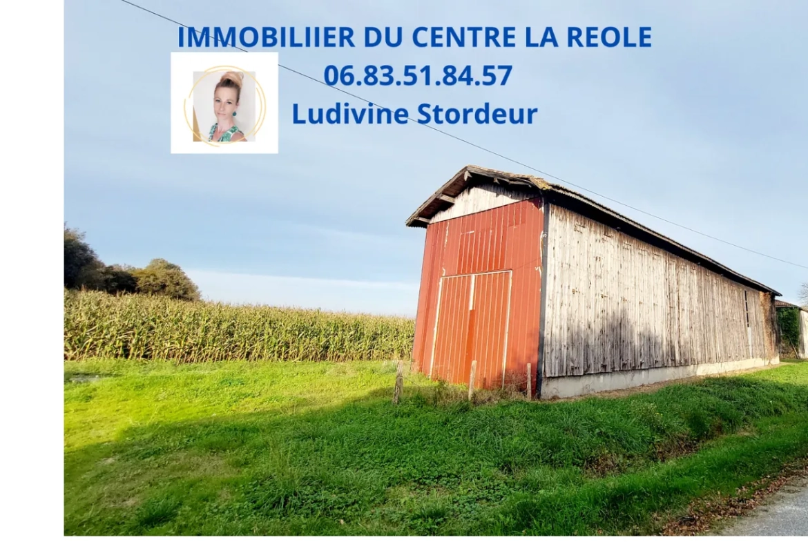 Séchoir de 120 m² avec grand terrain à vendre à La Réole - Opportunité rare 