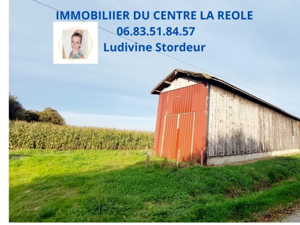Séchoir de 120 m² avec grand terrain à vendre à La Réole - Opportunité rare