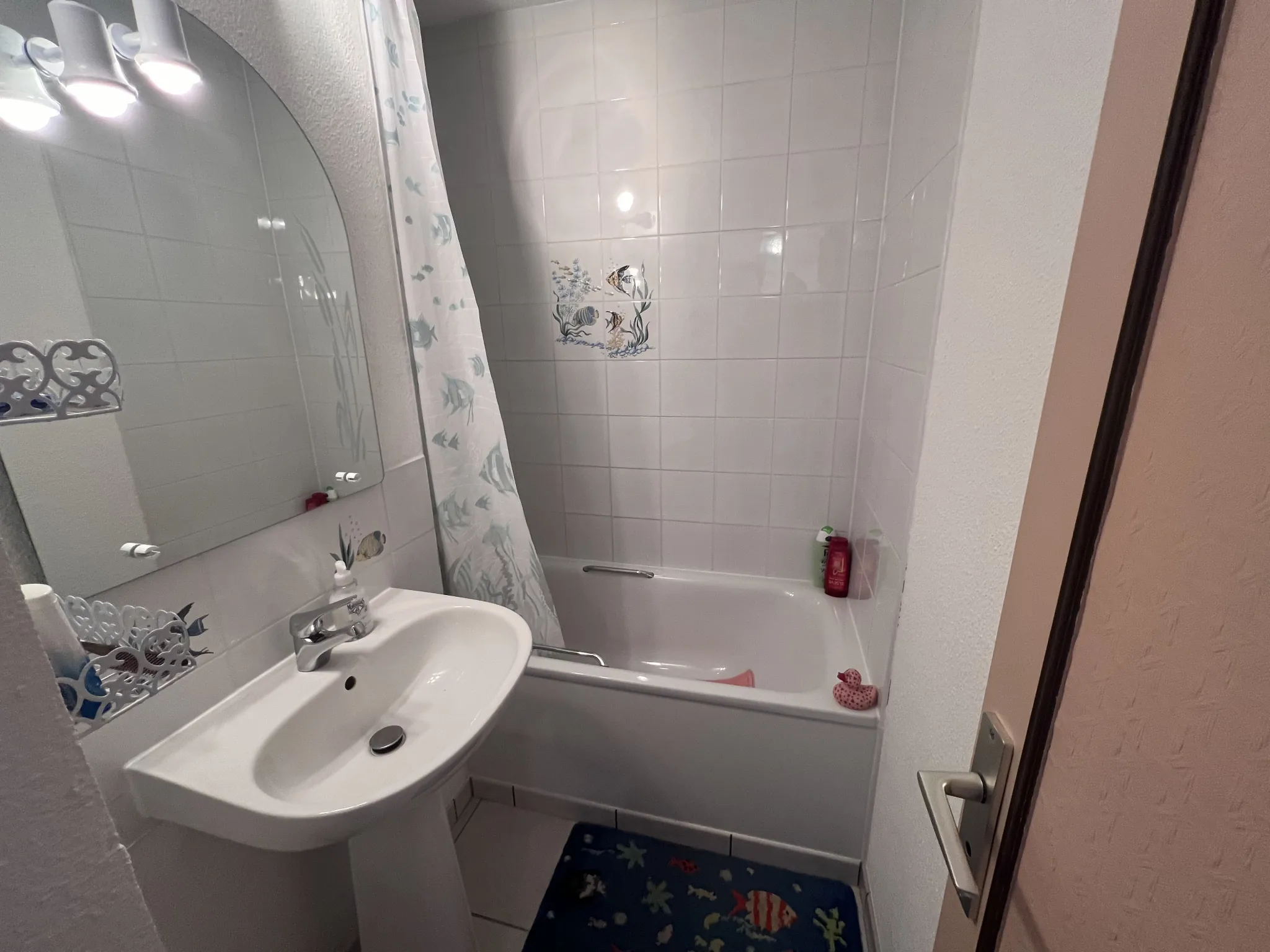 Appartement 2 pièces avec mezzanine, terrasse et vue sur Pyrénées au Barcarès 