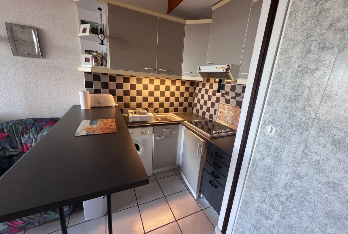 Appartement 2 pièces avec mezzanine, terrasse et vue sur Pyrénées au Barcarès 