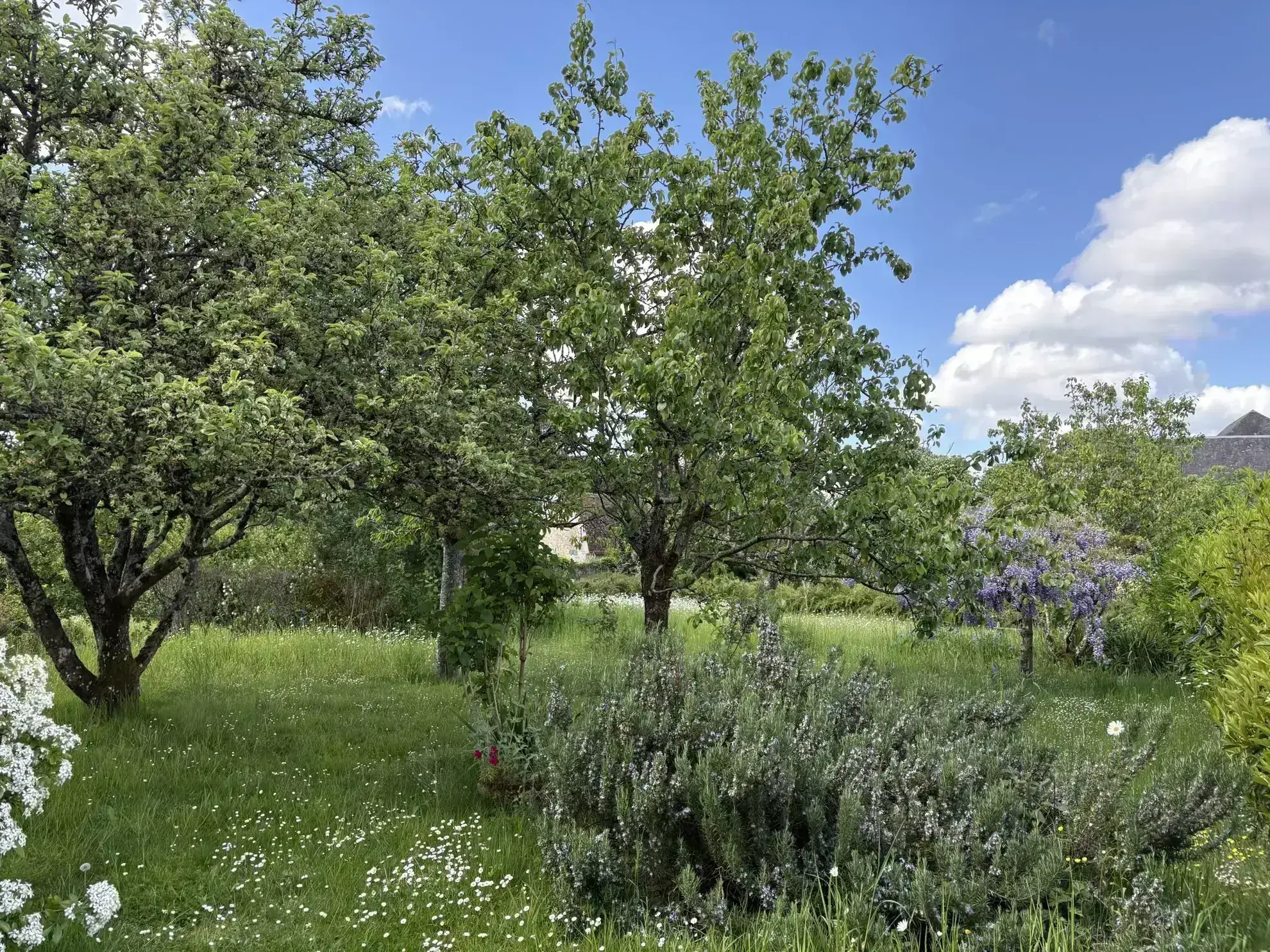 A vendre maison de plain-pied à Aillières-Beauvoir - 3 chambres, terrain de 400 m² 