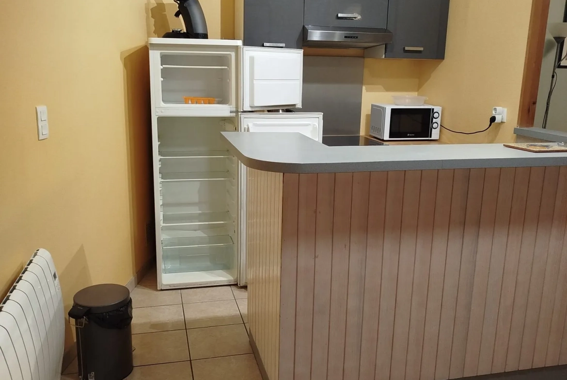 Appartement T1/2 avec jardin privé à vendre à Besse-et-Saint-Anastaise 