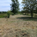 Verger de 1490m² à vendre à Einville-au-Jard - Opportunité agricole
