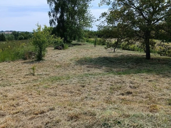 Verger de 1490m² à vendre à Einville-au-Jard - Opportunité agricole