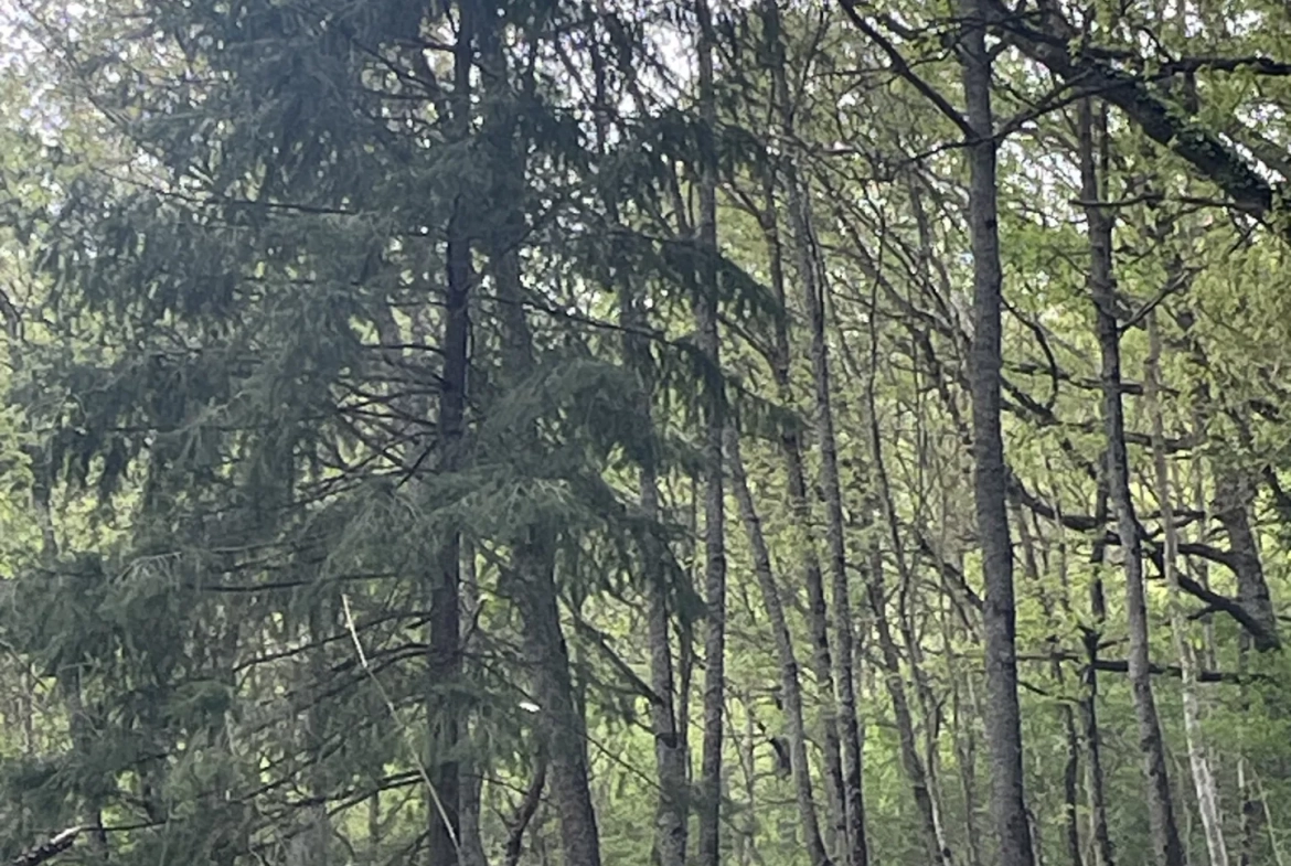 Terrain constructible de 2076 m² à Saint Beauzely avec vue dégagée et environnement naturel 