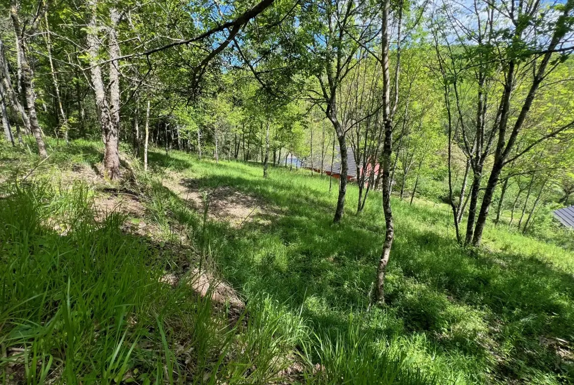 Terrain constructible de 2076 m² à Saint Beauzely avec vue dégagée et environnement naturel 