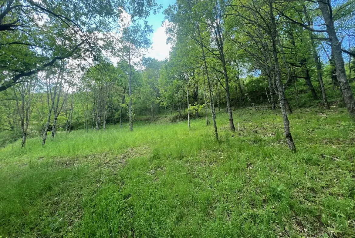 Terrain constructible de 2076 m² à Saint Beauzely avec vue dégagée et environnement naturel 