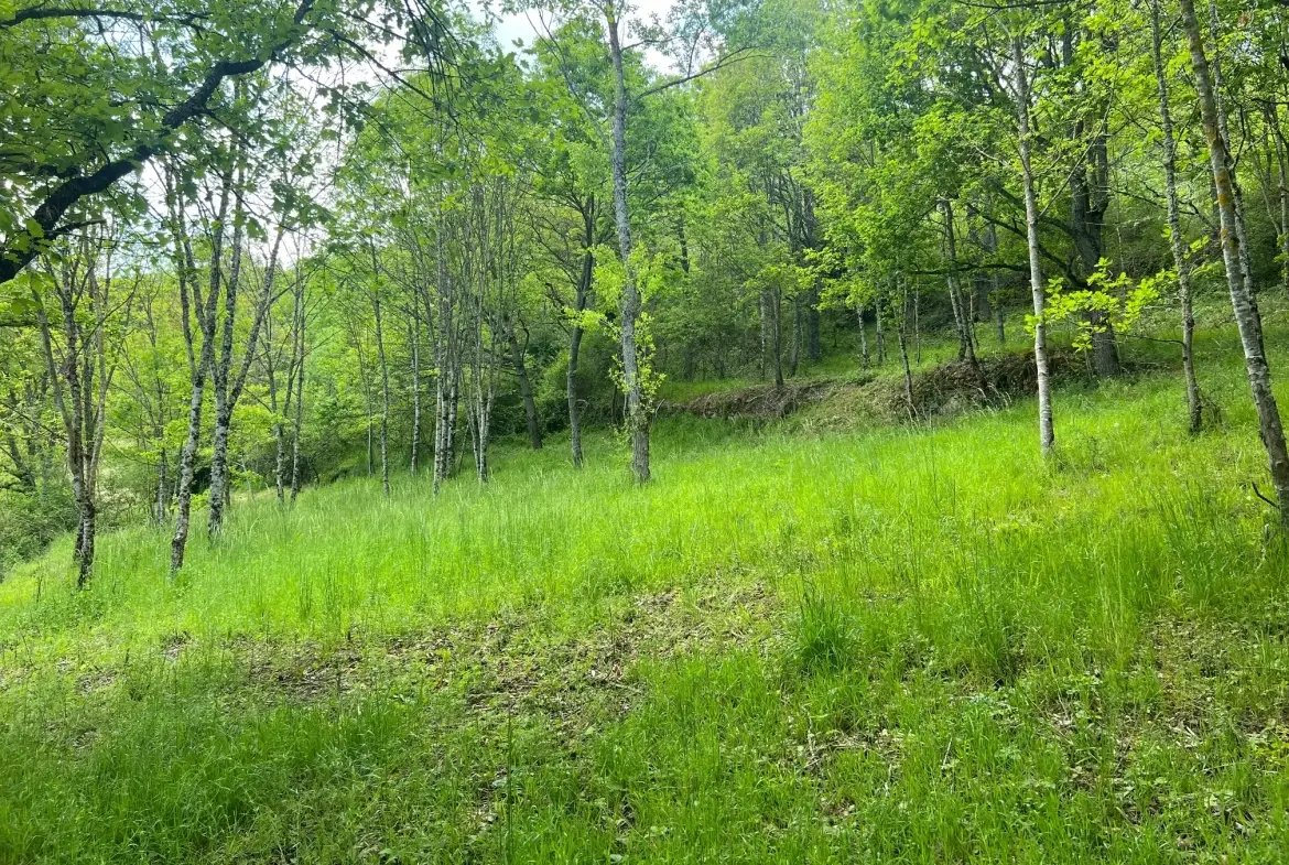 Terrain constructible de 2076 m² à Saint Beauzely avec vue dégagée et environnement naturel 