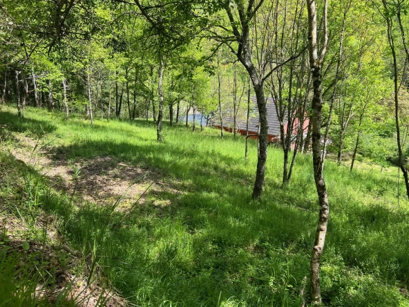 Terrain constructible de 2076 m² à Saint Beauzely avec vue dégagée et environnement naturel