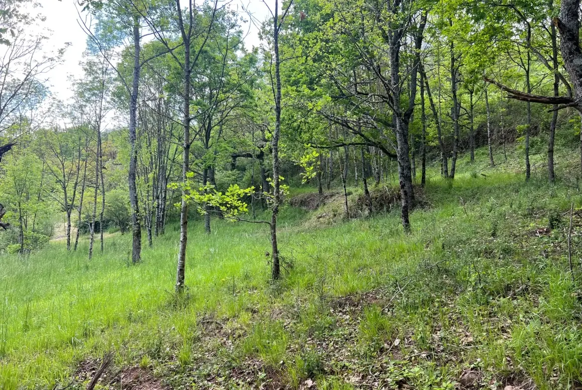 Terrain constructible de 2076 m² à Saint Beauzely avec vue dégagée et environnement naturel 
