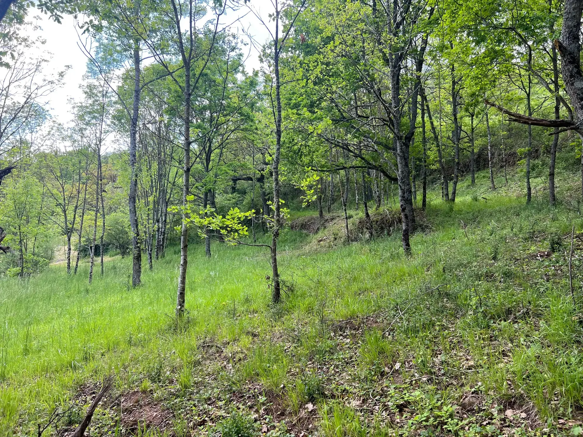 Terrain constructible de 2076 m² à Saint Beauzely avec vue dégagée et environnement naturel 