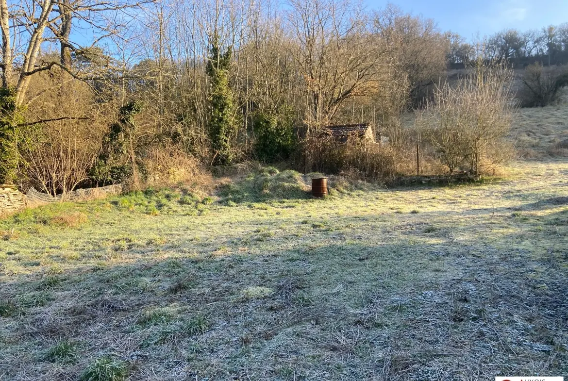 Maison ancienne à vendre à Montbard avec dépendances et grand terrain 