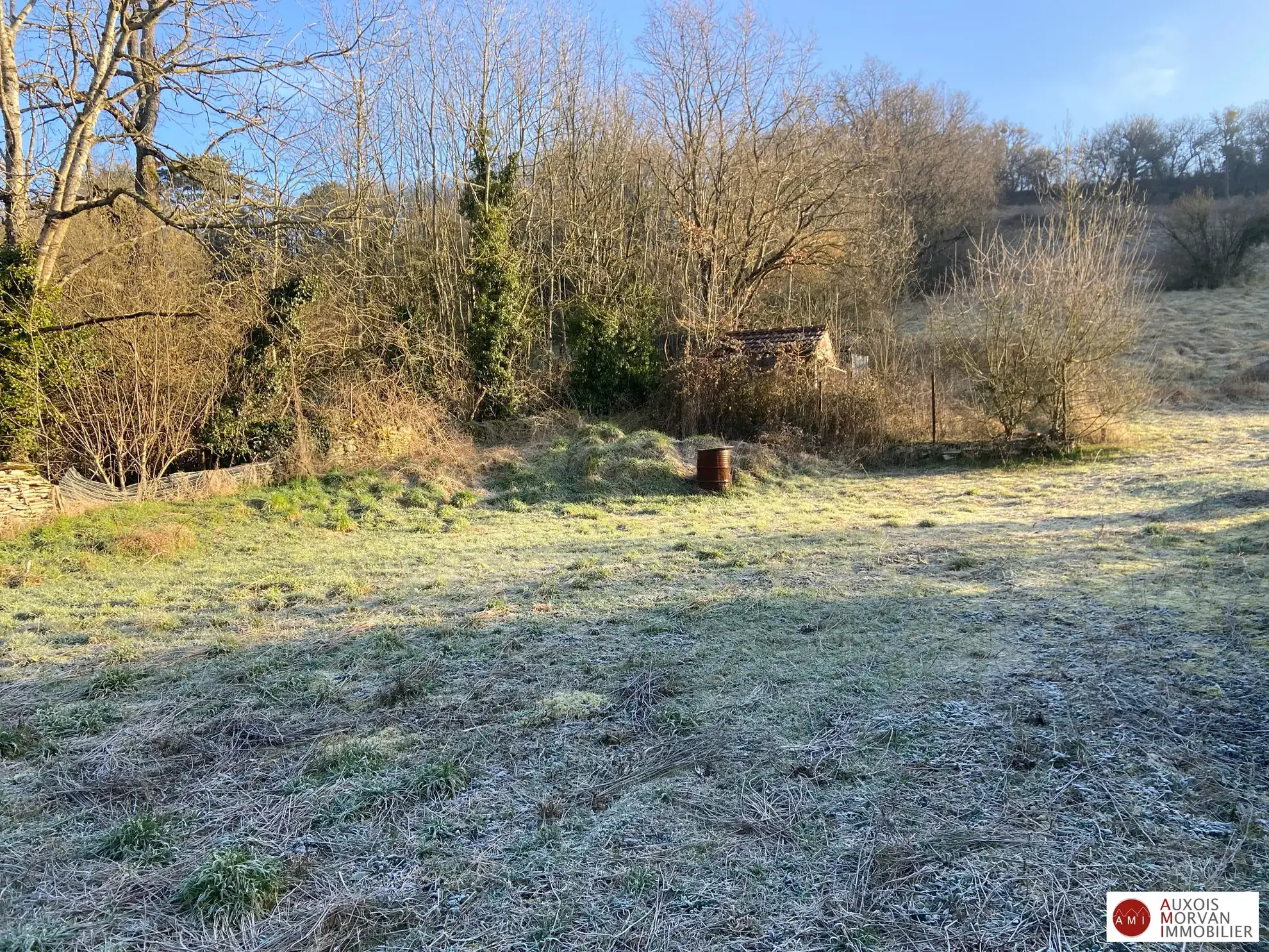 Maison ancienne à vendre à Montbard avec dépendances et grand terrain 