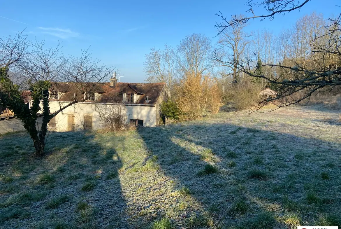 Maison ancienne à vendre à Montbard avec dépendances et grand terrain 