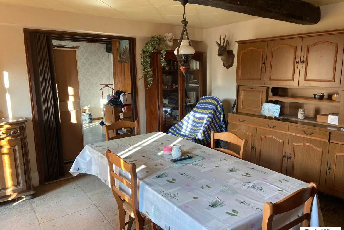 Maison ancienne à vendre à Montbard avec dépendances et grand terrain 