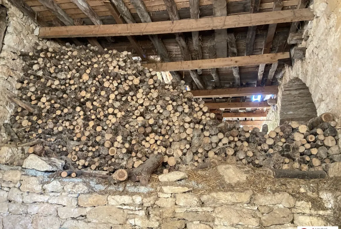 Maison ancienne à vendre à Montbard avec dépendances et grand terrain 
