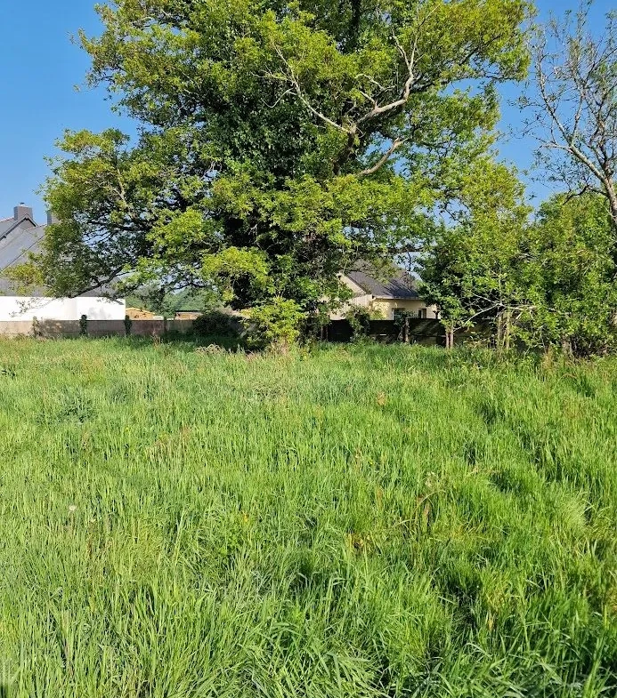 Maison en pierre à rafraîchir à Missillac, proche du centre, sur terrain de 838 m² 