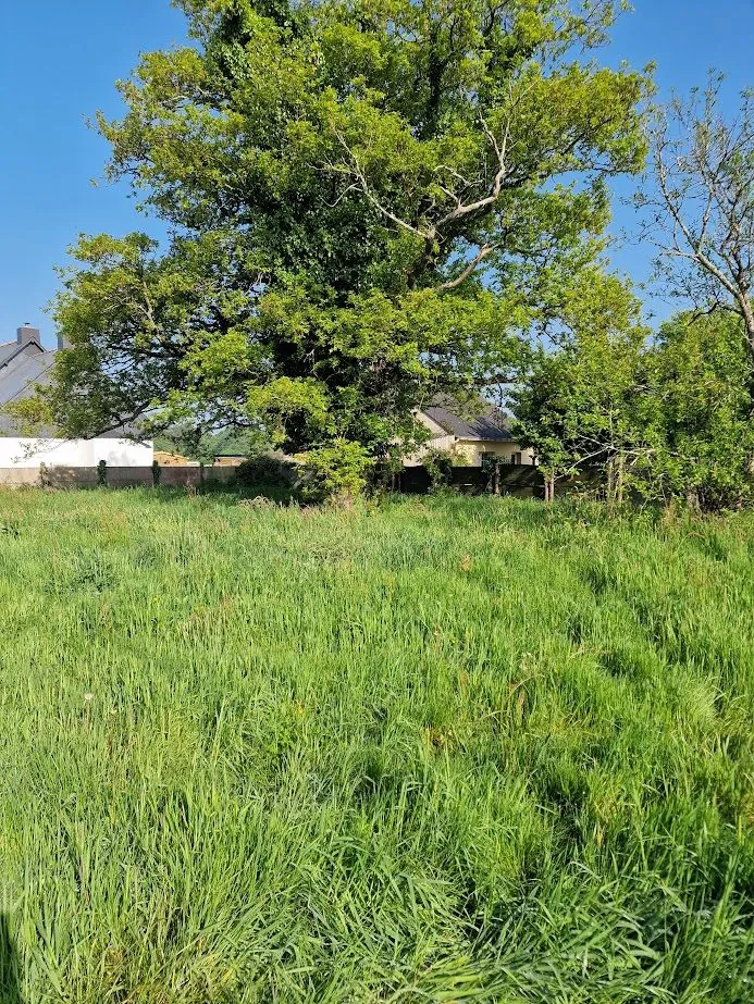Maison en pierre à rafraîchir à Missillac, proche du centre, sur terrain de 838 m² 