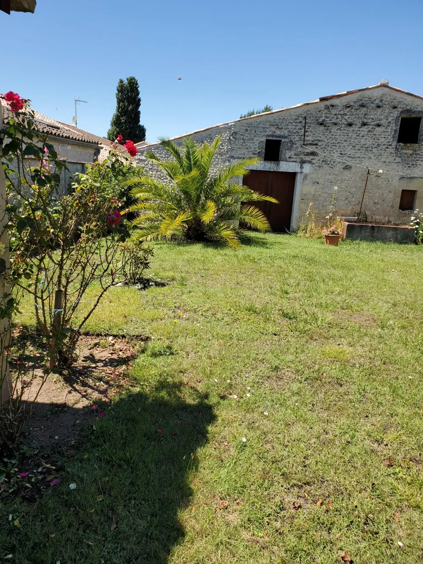 Belle maison charentaise de 197 m² avec dépendances et jardin arboré en Charente-Maritime 