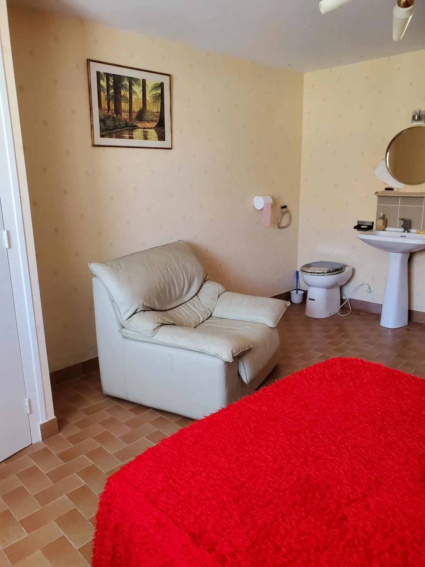 Belle maison charentaise de 197 m² avec dépendances et jardin arboré en Charente-Maritime 