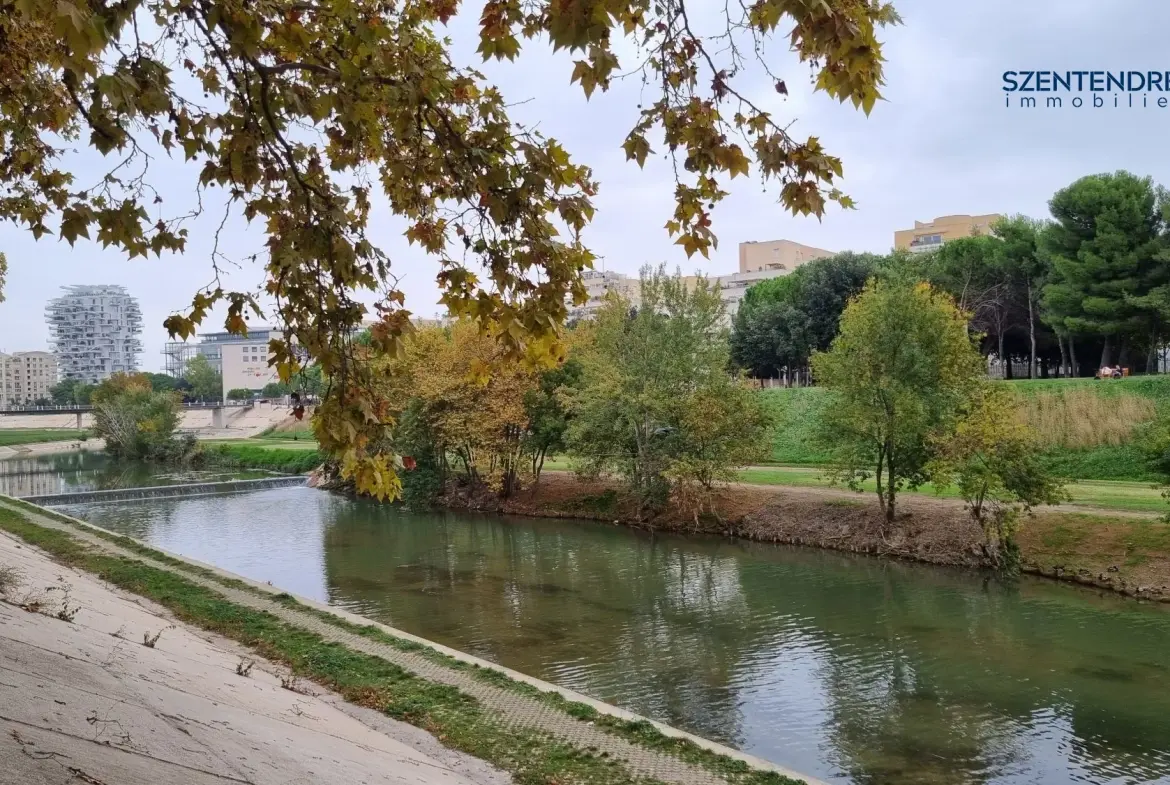 Appartement à vendre Montpellier Szentendrei immobilier Investissez dans un appartement 2 pièces loué à Montpellier Port Marianne 