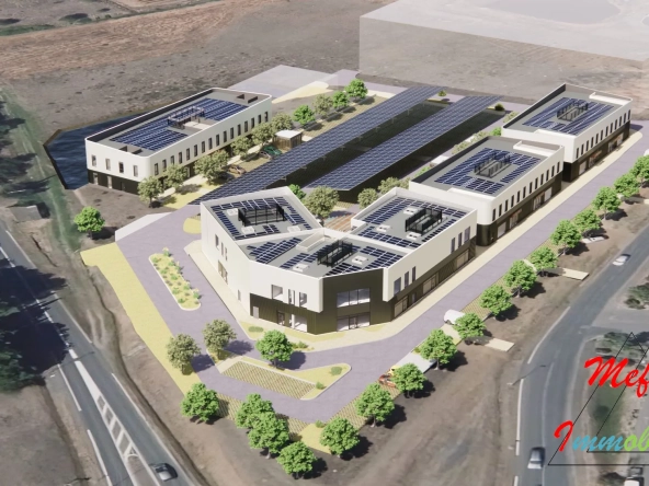Opportunité d'achat de bureaux et commerces stratégiques à Marseillan