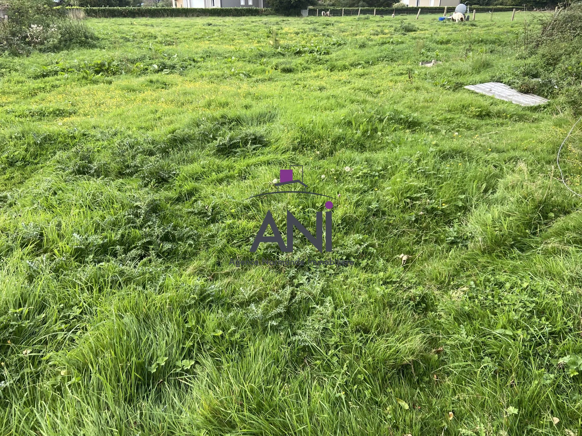 Terrain constructible de 1960 m² à Bacqueville-en-Caux, proche Rouen et Dieppe 