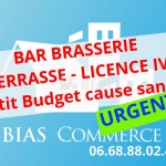 Fonds de commerce restaurant-brasserie-pizzeria à vendre à Cormeilles, centre-ville touristique