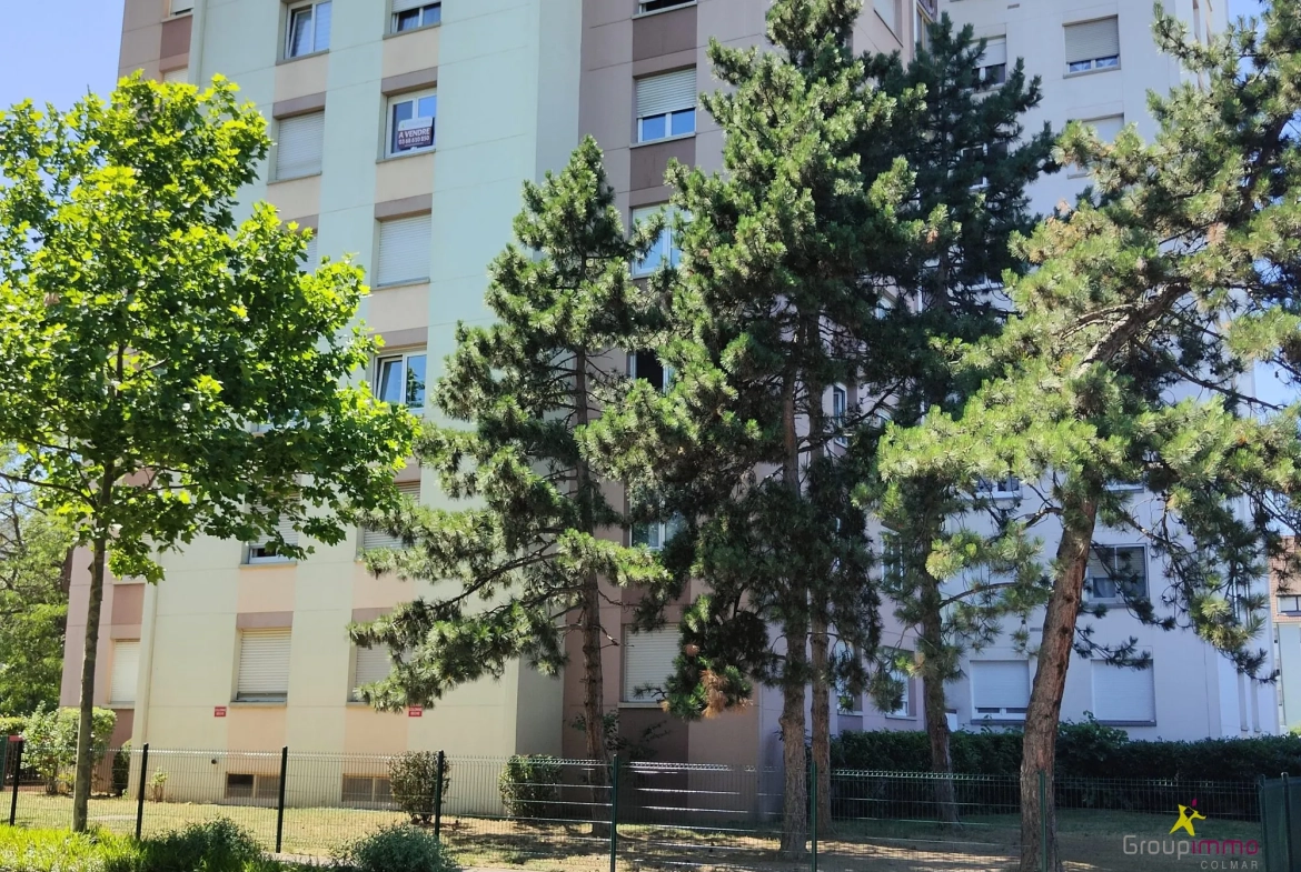 Appartement 4 pièces à vendre à Colmar avec cave et parking 