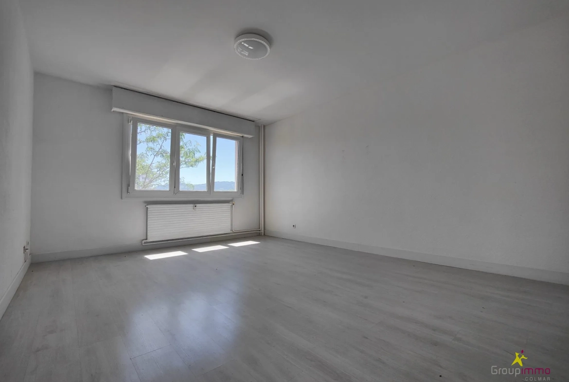 Appartement 4 pièces à vendre à Colmar avec cave et parking 