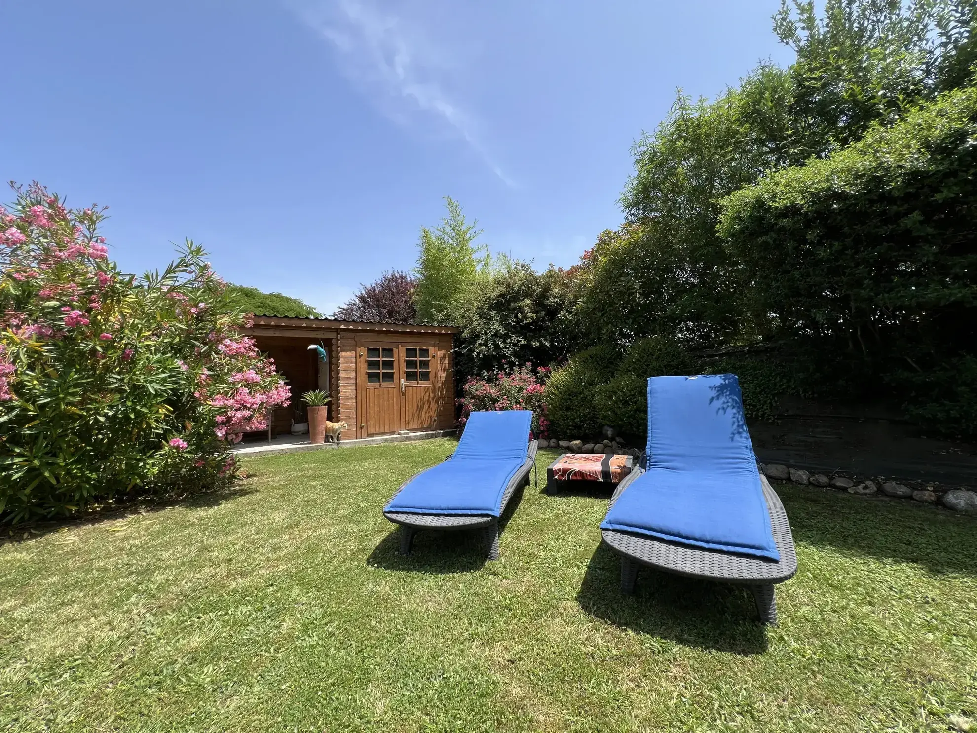 Villa moderne avec jardin arboré, piscine et garage à Lavaur - Saint Paul Cap de Joux 
