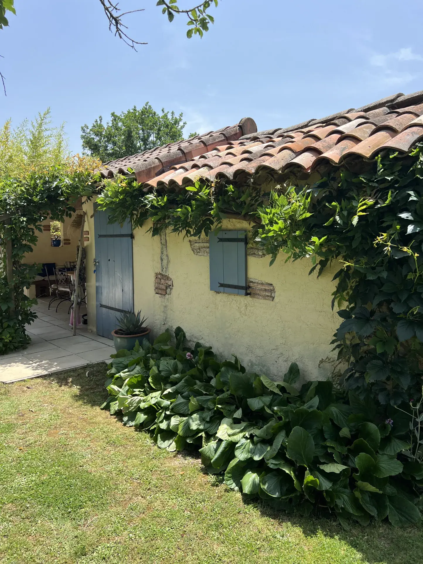 Villa moderne avec jardin arboré, piscine et garage à Lavaur - Saint Paul Cap de Joux 