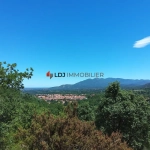 Terrain agricole de 6500 m² avec oliviers et étables à Céret