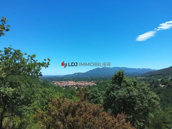 Terrain agricole de 6500 m² avec oliviers et étables à Céret